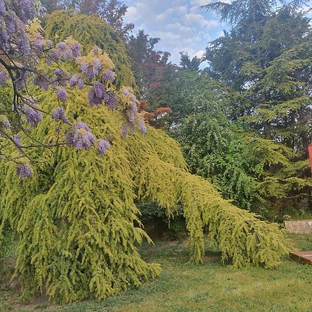 Gite Au Coeur De La Provence & Spa Saint-Cannat Eksteriør bilde