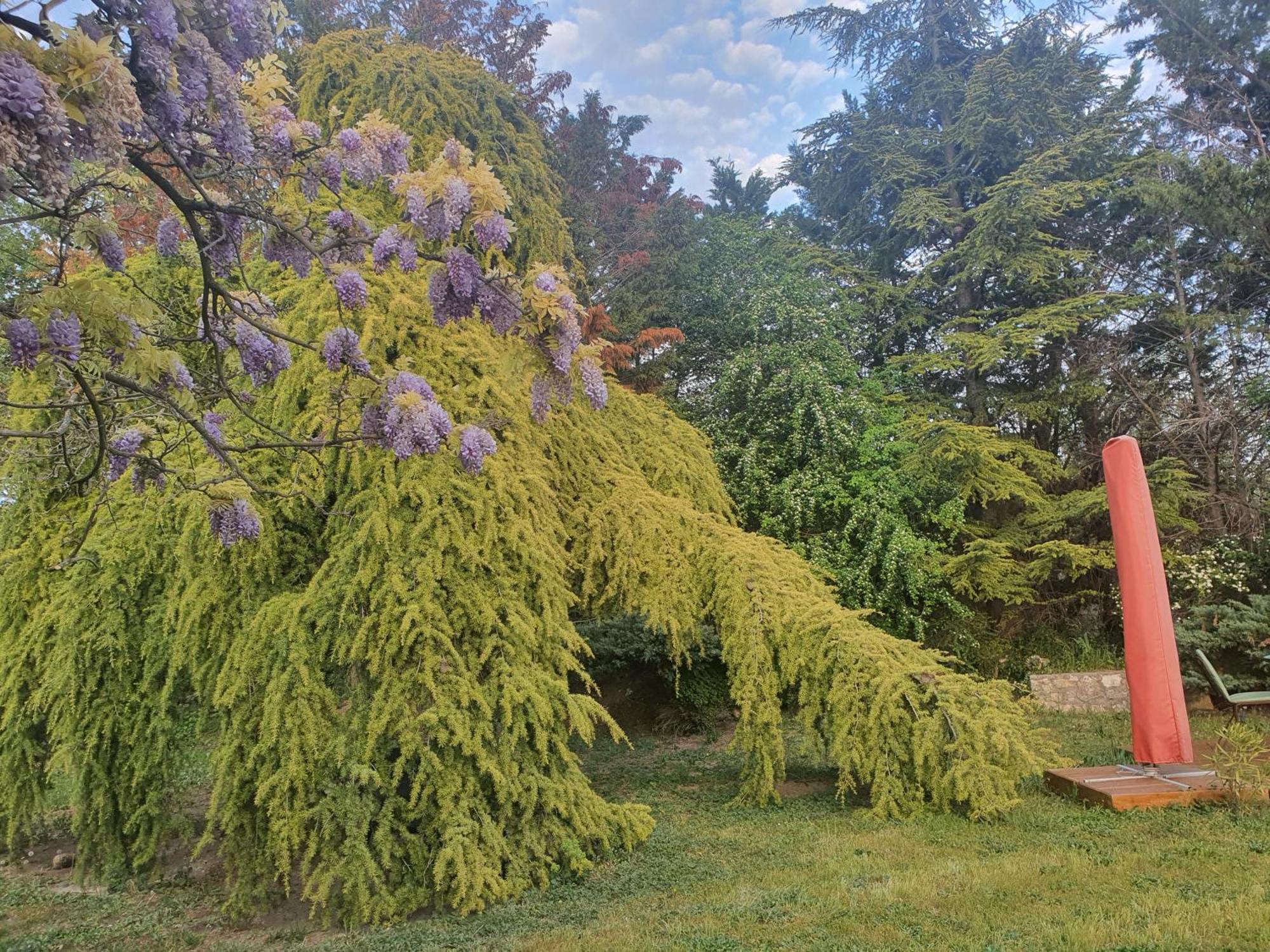 Gite Au Coeur De La Provence & Spa Saint-Cannat Eksteriør bilde